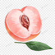 西瓜视频免费APP应用
