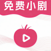 梅林电视2023最新版